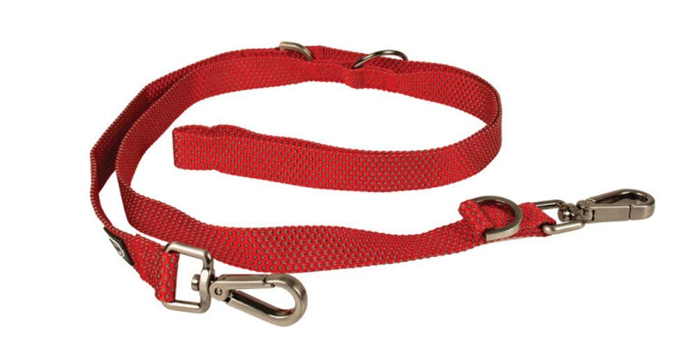 duvoplus, Laisse Duo Confortable et Contemporaine Gamme Explor East, Laisse Résistante et étanche 200cm/25mm Rouge, Waterproof, qualité Durable, Idéal pour la Promenade