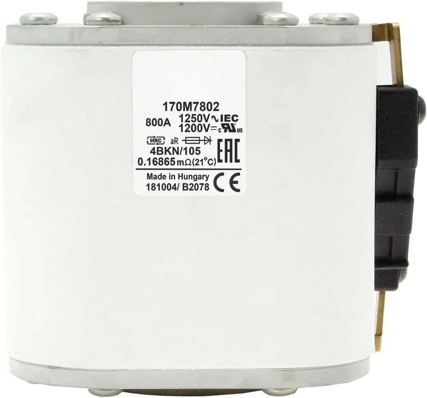 獣医生理学 第2版 獣医生理学Veterinary Physiology 第二版