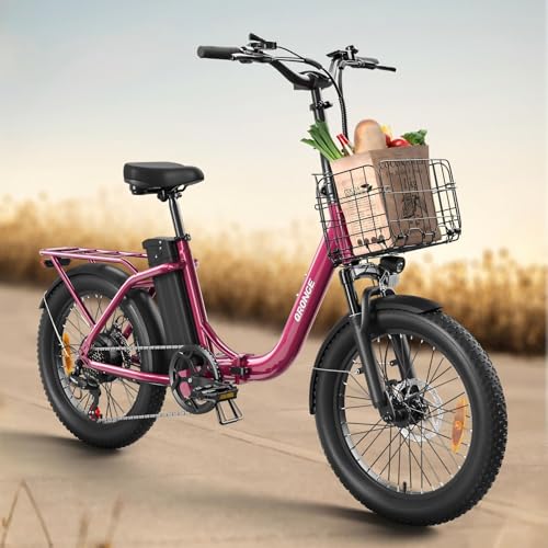 QRONGE Electric Bike, 1000W Peak Folding Electric Bike, 486Wh 70