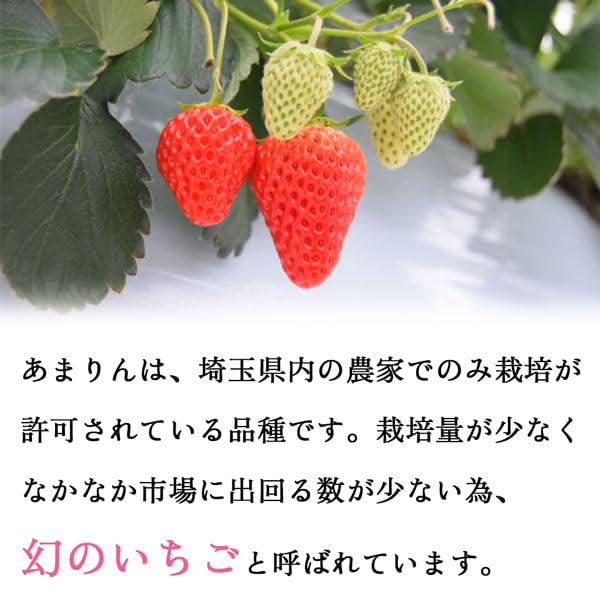 Amazon.co.jp: あまりん いちご 苺 埼玉県産 お徳用 4パック 大きさ