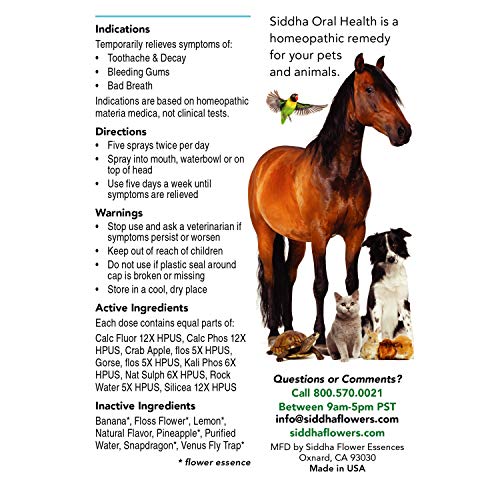 Siddha Remedies Oral Health For Pets | Cat Dog Oral Care For Toothache Decay | Breath Spray For Bad Breath, Healthy Gums Dogs Tooth Care | 100% Natural Homeopathic Remedy Cell Salts Flower Essences #TOP7