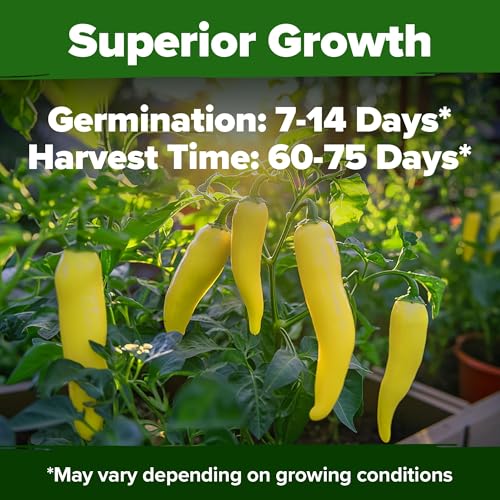 Image of HOME GROWN Sweet Banana Pepper Seeds 188+ Heirloom Non-GMO Seeds for Planting, High Germination, Mild Yellow Sweet Peppers, Prolific Garden Crop, Perfect for Pickling & Salads (Capsicum annuum)