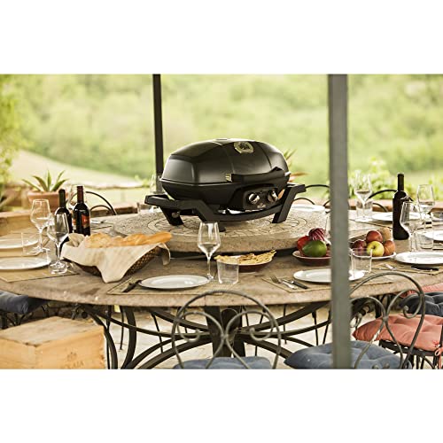 Image of Napoleon TravelQ PRO285 Portable Natural Gas Grill, Black, 2 Burners, Tailgating, Camping, and Small Outdoor Spaces