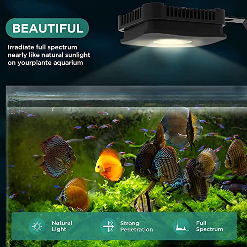 Image of Lominie LED Aquarium Light, Full Spectrum Fish Tank Light, Clip on Freshwater Planted Light Adjustable Gooseneck for Freshwater Coral Fish Tanks, Dimmable Nano Refugium Tank Light Supports Remote Wifi