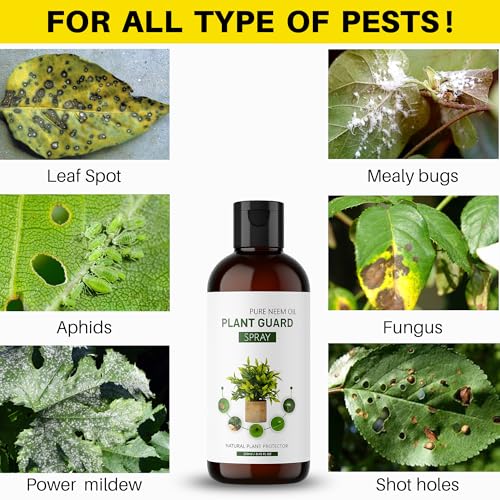 Image of Water-Soluble Neem Oil for Plants Insects Spray 250 Ml with Spray Gun | Plants & Garden | Indoor & Outdoor | Effective Against Aphids Thrips & Fungus|natural Pest & Insect Control Non-Stick Reusable
