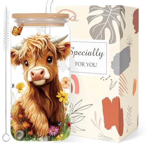 Shejdgart Highland Cow Gifts Women 16oz Drinking Glass Cups with Lid Straws