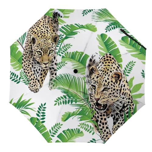 Parapluie de voyage compact noir et blanc | Restez élégant et au sec sous l'averse