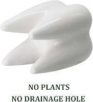 Vista 3 de YOFIT - Macetas con forma de dientes de estilo moderno, maceta de cerámica para regalos dentales, maceta de bonsái de suculenta y cactus blanca