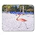 Produktbild Pad Maus Unterlage,Gaming Mauspad,Maus Pad,Mouse Mat,Mausmatte,Curacao Bonaire Pink Flamingo Aruba Strand Insel Tier Karibik 30X25Cm,Gummi Mousepad,Bürobedarf,Arbeitsmauspad