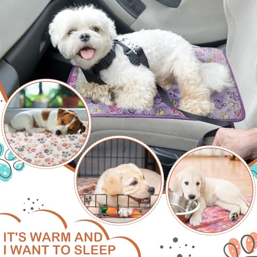 Image of 4 Pcs Waterproof Guinea Pig Blankets Washable Small Animal Fleece Bedding Absorbent Guinea Pig Cage Liners Reusable Pet Pee Pad Sleep Mat Pad Cover for Hamster Ferret (Paw Print, 28 x 41 Inch)