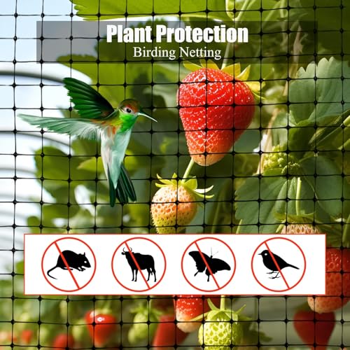 WEXFFU Vogelnetze Vogelschutznetz, 4 X 10m Schutznetz Garten Gemüsenetz mit 50 Stück Kabelbinder, Netz für Obstbäume Schützen Pflanzen Gemüse Obst Blumen Teichen