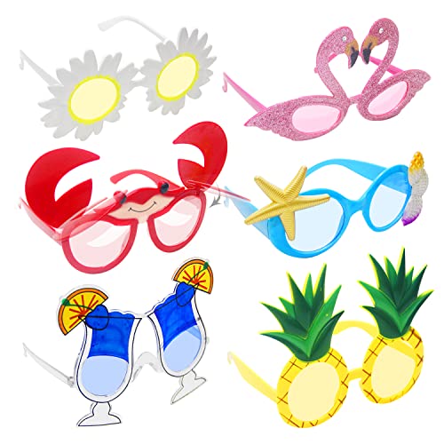 REKALRO Lunettes de fête 6 paires, lunettes drôles, ensemble de lunettes de fête tropicales hawaïennes pour accessoires de fête d'été, décorations sur le thème de plage (Multicolore A) Cover