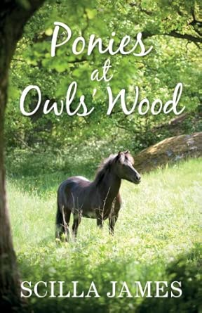 Ponies at Owls' Wood Ponies at Owls' Wood book cover