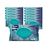 Charmin Flushable Wipes,40 Flushable Wipes, 480 Wipes Total (Packaging May Vary), 40 Count (Pack of 12)