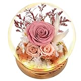 TGELATA Flowers, Roses Gift - Fresh Flowers Bouquet & Preserved Roses, Rose Arrangement That Lasts Forever – Birthday Gift for Women, Mother’s Day & Christmas-Dusty Rose