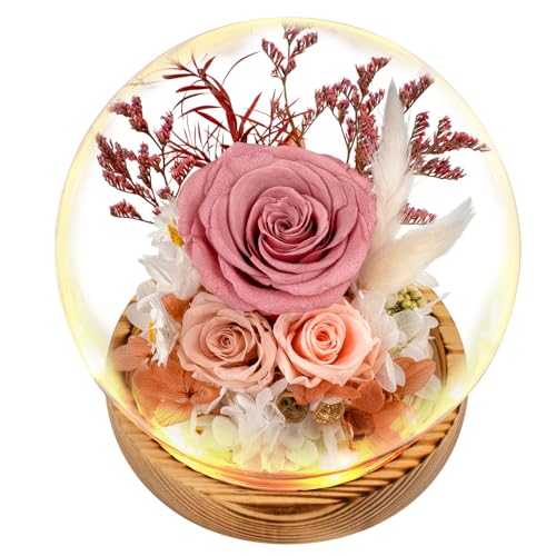 TGELATA Flowers, Roses Gift - Fresh Flowers Bouquet & Preserved Roses, Rose Arrangement That Lasts Forever – Birthday Gift for Women, Mother’s Day & Christmas-Dusty Rose