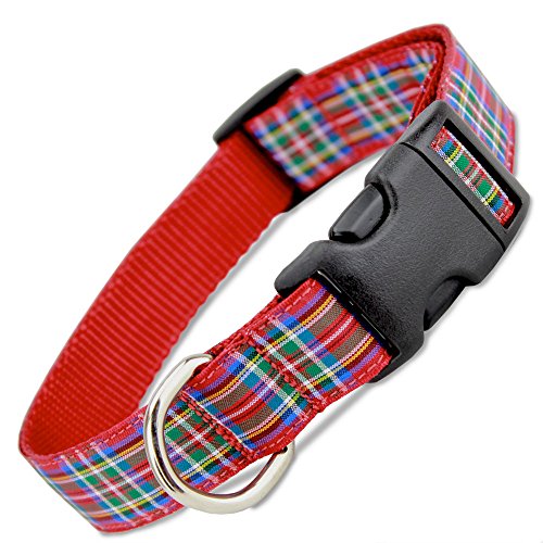 Scottish Plaid Dog Collar, Royal Stewart Tartan, Medium Dogs, 22 - 35 lbs (Collar: 3/4