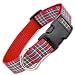 Scottish Plaid Dog Collar - Royal Stewart Tartan (Medium, 10" - 16")