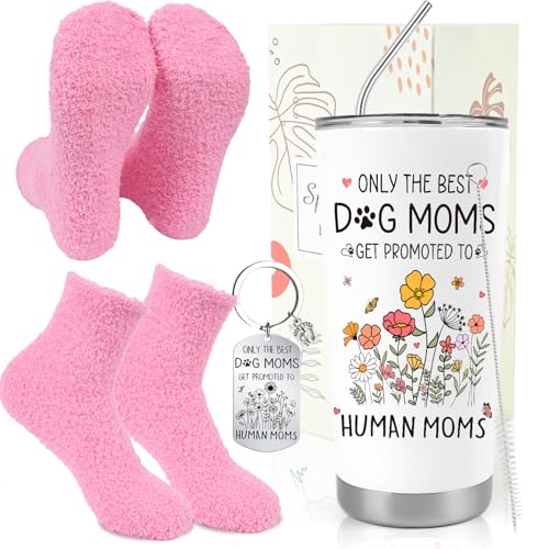 Pregnancy Laughter Gift Set