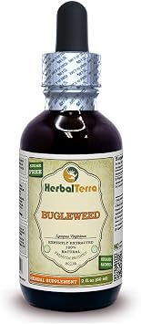 Bugleweed Lycopus Virginicus Tincture, Organic Dried Leaves and Flowers Liquid Extract 2 oz