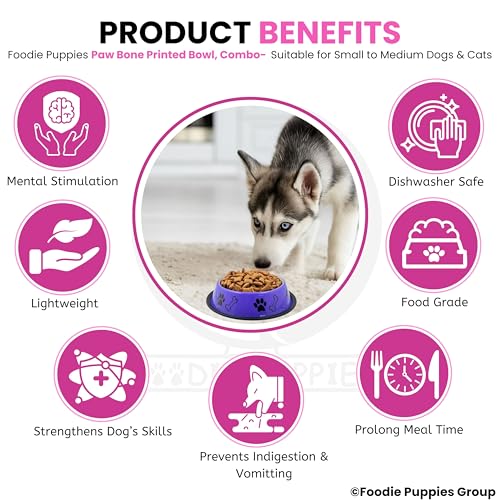 Image of Foodie Puppies Stainless Steel Dog Bowl Combo - (Medium, 700ml) Food and Water Feeding Gift Bowl | Suitable for Dogs, Cats and Other Pets I Paw Bone Print, Anti-Skid Rubber Base (Pink + Purple)