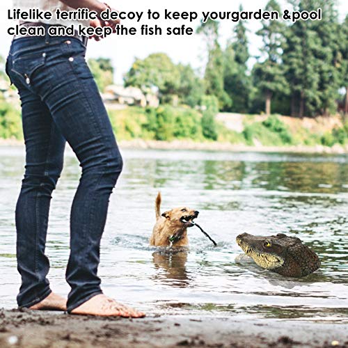 Soonhua Pond Floating Fake Alligator Head Decoy, Crocodile Head Float For Pool Deterrent Ducks, Outdoor Koi Fish Pond Accessories, Gator Decoration For Garden Water Protection #TOP1
