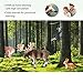 Volnau Safari Animal Figurines Toys 9PCS Eurasia Figures for Toddlers Kids Christmas Decoration Gift Preschool Educational Tiger Panda Jungle Forest Zoo Pack