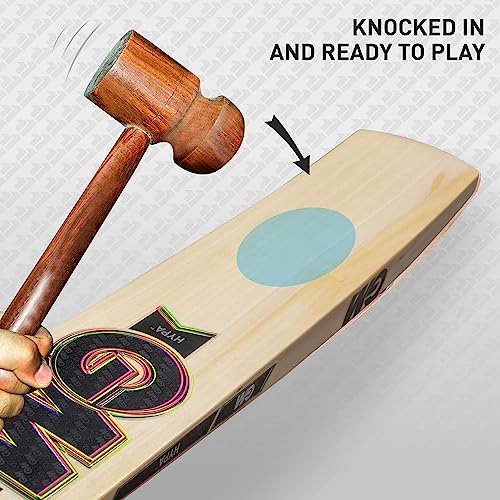 Image of GM Hypa Signature L.E. English Willow Cricket Bat for Mens, Size - Mens