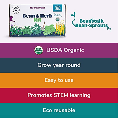 Organic Indoor Bean And Herb Starter Garden - Grow Parsley, Basil, Green Bean, Bush Bean, Cress From Seeds - Best Birthday Plant And Gardening Kit Gifts For Kids Age 5 6 7 8 9 10, Great For Kitchen #TOP2