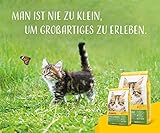 JOSERA Kitten grainfree (1 x 2 kg) | Kitten | Premium Trockenfutter für heranwachsende Katzen sowie Katzen-Mütter in der Säugezeit | Geflügel & Lachsöl | getreidefrei | Katzenfutter | 1er Pack
