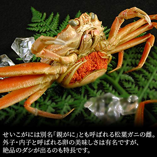 松葉蟹[セコガニ］ゴールドカラーオリジナル全長２３センチ立体リアル標本飾り置物 Amazon.co.jp: 風味絶佳.山陰 生セコガニ 約1kg詰（7枚前後入） 訳あり
