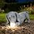 Miggley Dachshund Solar Garden Statue - Outdoor Yard, Lawn, Patio Weiner Dog Decor - Unique Birthday Housewarming Gift for Mom, Women, Dad, Men