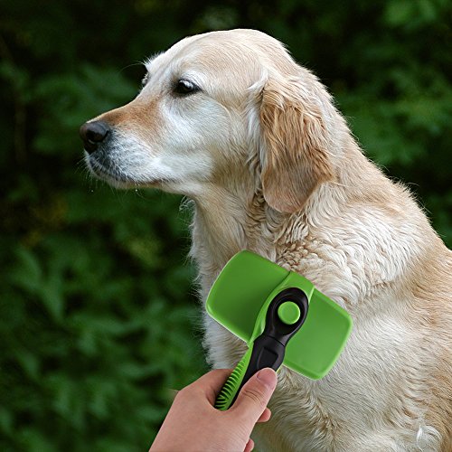 Auto-limpeza Shampooing Pet Brush, Professional Pet Comb, Beleza Pet Grooming Brush para derramament