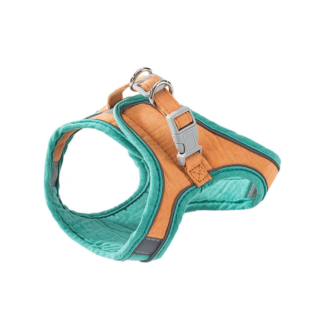POPETPOP 2 Set Di Guinzagli Per Gattini Con Cinturino Toracico Accessori Per Animali Domestici Per Passeggiate Facili