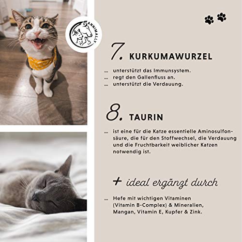 Annimally Gelenk Pulver für Katzen I 120g für 4 Monate - Die Alternative zu Gelenktabletten - Gelenkfit Pulver mit Grünlippmuschel, MSM, Teufelskralle, Taurin, Glucosamin und Kurkuma