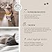 Annimally Gelenk Pulver für Katzen I 120g für 4 Monate - Die Alternative zu Gelenktabletten - Gelenkfit Pulver mit Grünlippmuschel, MSM, Teufelskralle, Taurin, Glucosamin und Kurkuma