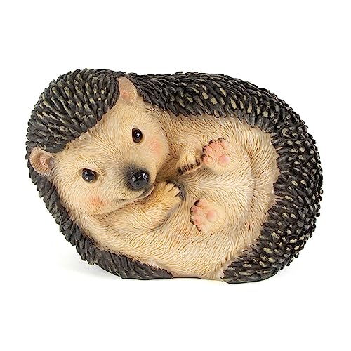Wrenbury Hedgehog Garden Ornament Outdoor - Cute Rolling Miniature Hedgehog Garden Sculpture -...