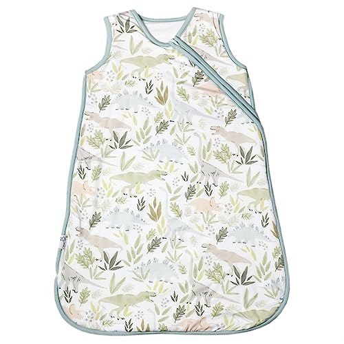 Image of Copper Pearl Sleep Sack: Warm and Cozy Baby Bag in a Variety of Trendy Designs, Safe Alternative to Blankets, Sleeveless Baby Sleep Sack Swaddle Sizes Newborn to 24 Months - Rex