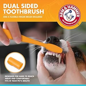 Arm & Hammer for Pets Fresh Breath Enzymatic Dog Dental Care Kit - Includes Dog Toothpaste, Dual Sided Toothbrush and Fingerbrush - Bad Breath Treatment, Chicken Flavor, 2.5 Ounce Arm Hammer for Pets Fresh Breath Enzymatic Dog Dental Care Kit Includes Dog Toothpaste Dual Sided Toothbrush and Fingerbrush Bad Breath Treatment Chicken Flavor 25 Ounce