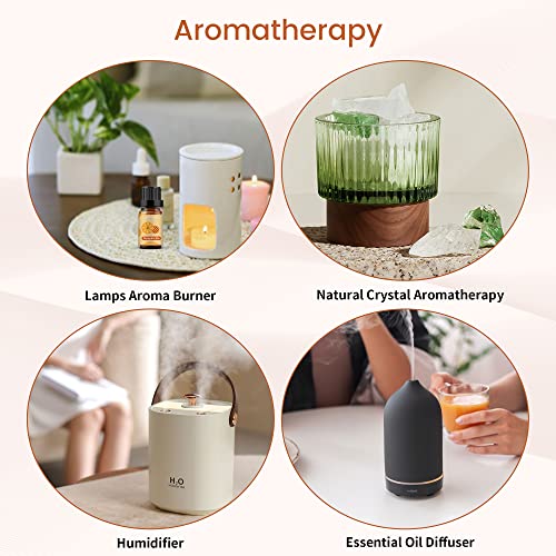 Yethious 10Ml Premium Grade Pumpkin Pie Fragrance Oil - Pumpkin Pie Scented Oils For Diffusers, Candle Making, Soap Scents, Aroma Beads, Bath Bombs, Perfume - 10Ml #TOP4