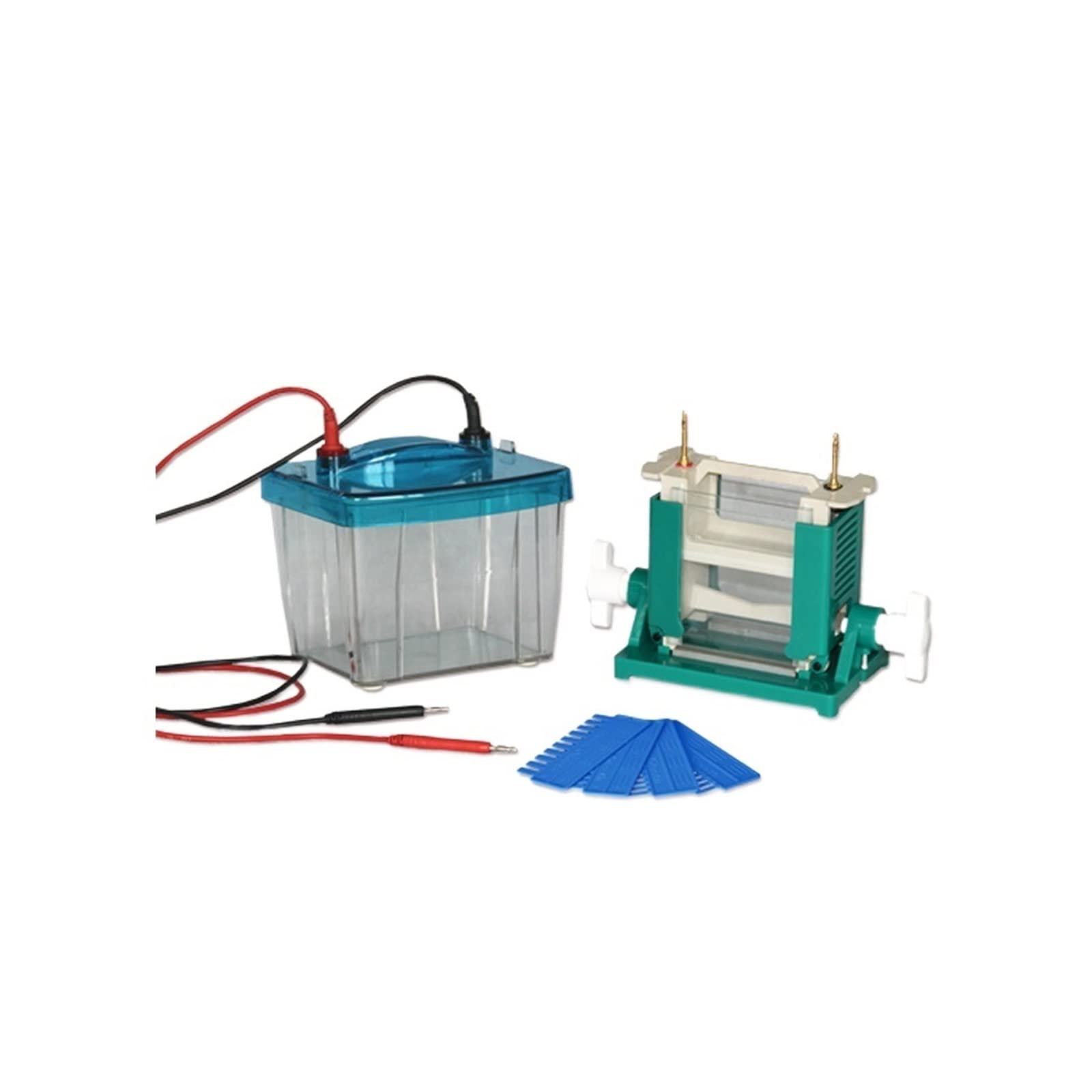 VChics Apparecchio per elettroforesi, DYCZ-25D Serbatoio for elettroforesi con Doppio Strumento for elettroforesi Verticale Facile da Usare