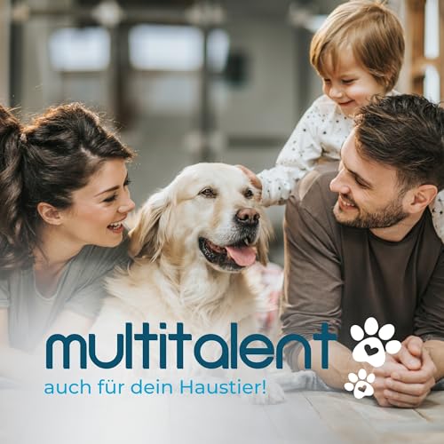 REMOS Zahnstocher Profi Zahnputzwerkzeug mit spitzem und flachem Ende aus rostfreiem Edelstahl - 9 cm