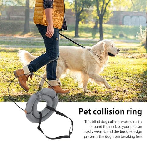 Mascotas, Imagen adicional