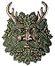 Greenman Winter Plaque Fantasy Designer Decoration Collectible
