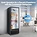 Tylza Commercial Refrigerator with Glass Door Display Beverage Fridge, 350L Upright Beverage Cooler Merchandiser with Rebound Door, Fast Cooling, Low Noise, Black