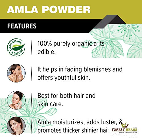 The Forest Herbs Natural Care From Nature 100% Natural Organic Amla, Shikakai, Bhringraj, Hibiscus, Henna And Indigo Powder For Hair Care Combo Each 100Gms
