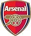 Arsenal Vinyl Sticker Decal 4"x5" (9x11 cm)