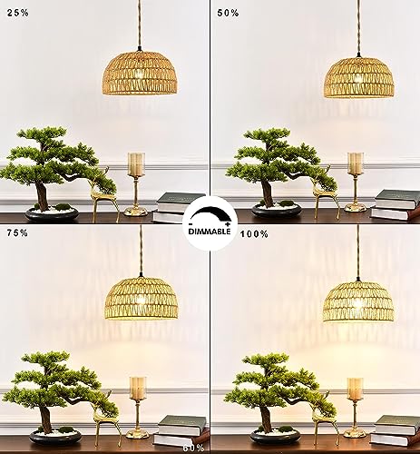 Interrupteur à intensité variable et suspension macramé avec étagère à plantes 3 niveaux