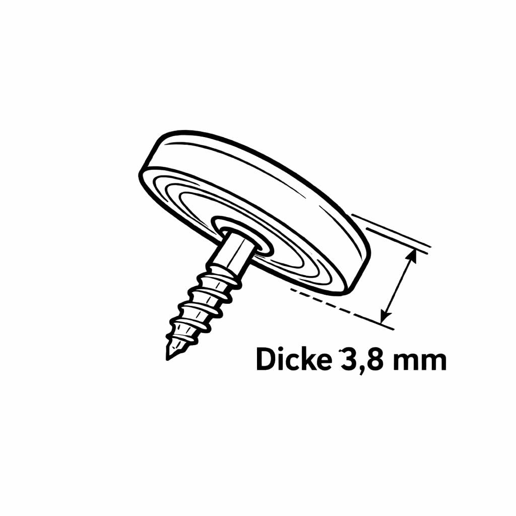 Harmonikaknöpfe Perlmutt weiß 31 Stück für Steirische Harmonika – hochwertige Diskantknöpfe zum Nachrüsten & Reparieren – edles Design, langlebig & passgenau – Zubehör für Volksmusikinstrumente