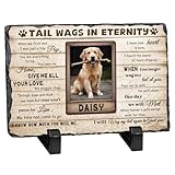 FPGIYXK Personalized Pet Memorial Stones for Dogs Custom Pet Memorial Gifts Loss of Dog Sympathy Gift for Dog Cat Lover (Style 1)